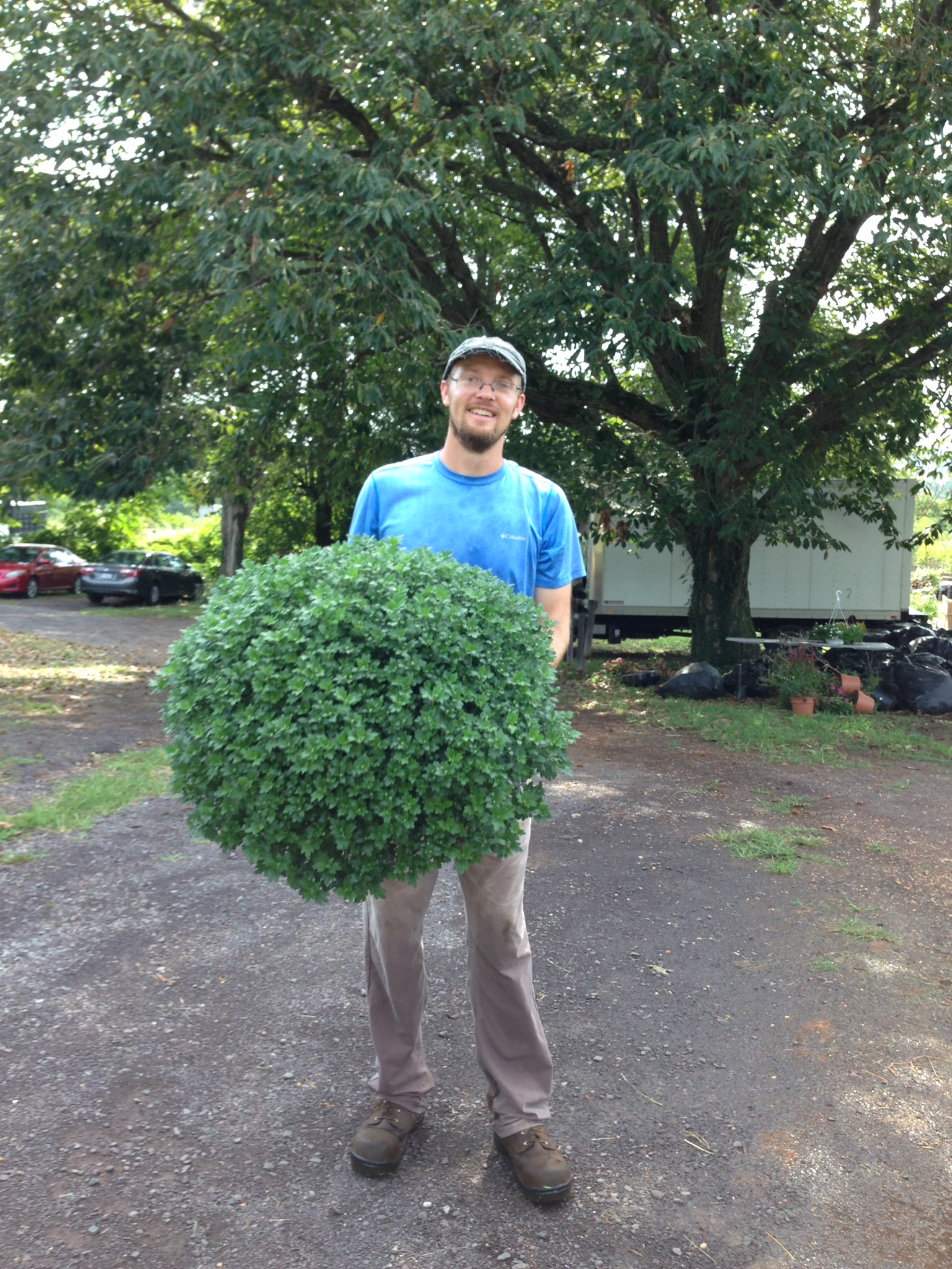 Man holding large plant