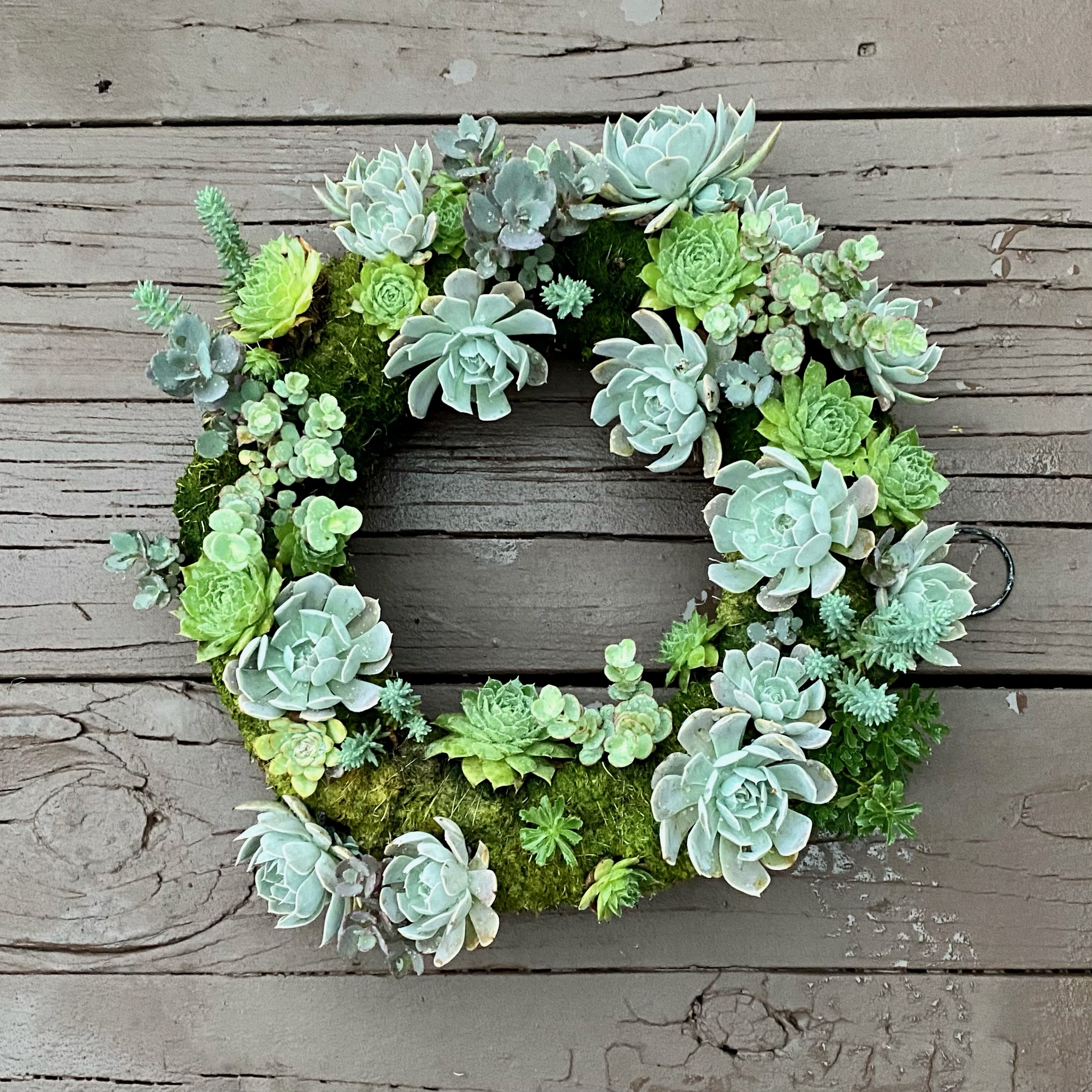 Wreath made from succulents